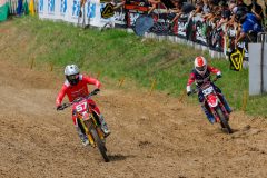 MX2