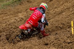 MX2